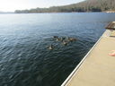 Filename=IMG_0411.JPG
Filesize=544KiB
Dimensions=2048x1536
Date added=Dec 12, 2018 IMG_0411.JPG