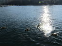 Filename=IMG_0412.JPG
Filesize=458KiB
Dimensions=2048x1536
Date added=Dec 12, 2018 IMG_0412.JPG