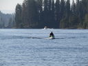 Filename=IMG_0414.JPG
Filesize=538KiB
Dimensions=2048x1536
Date added=Dec 12, 2018 IMG_0414.JPG