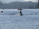 Filename=IMG_0415.JPG
Filesize=575KiB
Dimensions=2048x1536
Date added=Dec 12, 2018 IMG_0415.JPG