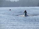 Filename=IMG_0416.JPG
Filesize=521KiB
Dimensions=2048x1536
Date added=Dec 12, 2018 IMG_0416.JPG