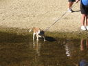 Filename=IMG_1389.JPG
Filesize=962KiB
Dimensions=2048x1536
Date added=Feb 01, 2018 IMG_1389.JPG