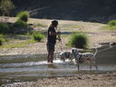 Filename=IMG_1391.JPG
Filesize=702KiB
Dimensions=2048x1536
Date added=Feb 01, 2018 IMG_1391.JPG