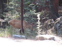 Filename=IMG_1393.JPG
Filesize=568KiB
Dimensions=2048x1536
Date added=Feb 01, 2018 IMG_1393.JPG