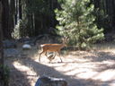Filename=IMG_1395.JPG
Filesize=491KiB
Dimensions=2048x1536
Date added=Feb 01, 2018 IMG_1395.JPG
