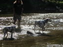 Filename=IMG_1409.JPG
Filesize=633KiB
Dimensions=2048x1536
Date added=Feb 01, 2018 IMG_1409.JPG