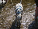 Filename=IMG_1411.JPG
Filesize=887KiB
Dimensions=2048x1536
Date added=Feb 01, 2018 IMG_1411.JPG