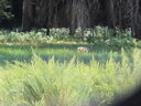 Filename=IMG_1416.JPG
Filesize=905KiB
Dimensions=2048x1536
Date added=Feb 01, 2018 IMG_1416.JPG
