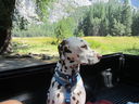 Filename=IMG_1422.JPG
Filesize=617KiB
Dimensions=2048x1536
Date added=Feb 01, 2018 IMG_1422.JPG