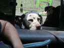 Filename=IMG_1441.JPG
Filesize=387KiB
Dimensions=2048x1536
Date added=Feb 01, 2018 IMG_1441.JPG