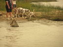 Filename=IMG_1463.JPG
Filesize=414KiB
Dimensions=2048x1536
Date added=Feb 01, 2018 IMG_1463.JPG