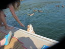 Filename=IMG_1471.JPG
Filesize=562KiB
Dimensions=2048x1536
Date added=Feb 01, 2018 IMG_1471.JPG