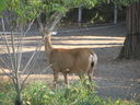 Filename=IMG_1473.JPG
Filesize=535KiB
Dimensions=2048x1536
Date added=Feb 01, 2018 IMG_1473.JPG