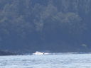 Filename=IMG_1476.JPG
Filesize=267KiB
Dimensions=2048x1536
Date added=Feb 01, 2018 IMG_1476.JPG