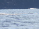 Filename=IMG_1477.JPG
Filesize=370KiB
Dimensions=2048x1536
Date added=Feb 01, 2018 IMG_1477.JPG