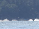 Filename=IMG_1478.JPG
Filesize=251KiB
Dimensions=2048x1536
Date added=Feb 01, 2018 IMG_1478.JPG