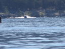 Filename=IMG_1479.JPG
Filesize=413KiB
Dimensions=2048x1536
Date added=Feb 01, 2018 IMG_1479.JPG