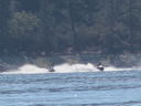 Filename=IMG_1480.JPG
Filesize=329KiB
Dimensions=2048x1536
Date added=Feb 01, 2018 IMG_1480.JPG