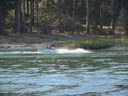 Filename=IMG_1496.JPG
Filesize=591KiB
Dimensions=2048x1536
Date added=Feb 01, 2018 IMG_1496.JPG