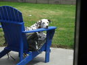 Filename=DSC00675.JPG
Filesize=532KiB
Dimensions=2048x1536
Date added=Feb 01, 2018 DSC00675.JPG