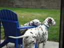 Filename=DSC00676.JPG
Filesize=579KiB
Dimensions=2048x1536
Date added=Feb 01, 2018 DSC00676.JPG