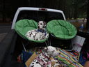 Filename=DSC00678.JPG
Filesize=395KiB
Dimensions=2048x1536
Date added=Feb 01, 2018 DSC00678.JPG