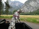Filename=DSC00681.JPG
Filesize=635KiB
Dimensions=2048x1536
Date added=Feb 01, 2018 DSC00681.JPG