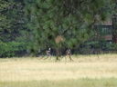 Filename=DSC00682.JPG
Filesize=603KiB
Dimensions=2048x1536
Date added=Feb 01, 2018 DSC00682.JPG