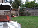 Filename=DSC00709.JPG
Filesize=587KiB
Dimensions=2048x1536
Date added=Feb 01, 2018 DSC00709.JPG