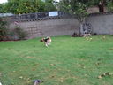 Filename=DSC00710.JPG
Filesize=401KiB
Dimensions=2048x1536
Date added=Feb 01, 2018 DSC00710.JPG