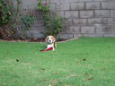 Filename=DSC00711.JPG
Filesize=588KiB
Dimensions=2048x1536
Date added=Feb 01, 2018 DSC00711.JPG