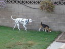 Filename=DSC00716.JPG
Filesize=507KiB
Dimensions=2048x1536
Date added=Feb 01, 2018 DSC00716.JPG