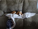 Filename=DSC00719.JPG
Filesize=369KiB
Dimensions=2048x1536
Date added=Feb 01, 2018 DSC00719.JPG