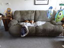 Filename=DSC00720.JPG
Filesize=449KiB
Dimensions=2048x1536
Date added=Feb 01, 2018 DSC00720.JPG