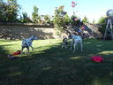 Filename=DSC00734.JPG
Filesize=759KiB
Dimensions=2048x1536
Date added=Feb 01, 2018 DSC00734.JPG