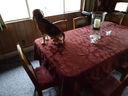 Filename=DSC00737.JPG
Filesize=388KiB
Dimensions=2048x1536
Date added=Feb 01, 2018 DSC00737.JPG