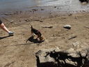 Filename=DSC00741.JPG
Filesize=933KiB
Dimensions=2048x1536
Date added=Feb 01, 2018 DSC00741.JPG