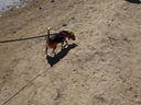 Filename=DSC00742.JPG
Filesize=969KiB
Dimensions=2048x1536
Date added=Feb 01, 2018 DSC00742.JPG