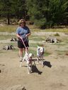 Filename=DSC00746.JPG
Filesize=743KiB
Dimensions=1536x2048
Date added=Feb 01, 2018 DSC00746.JPG