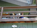 Filename=DSC00751.JPG
Filesize=359KiB
Dimensions=2048x1536
Date added=Feb 01, 2018 DSC00751.JPG