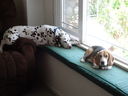 Filename=DSC00755.JPG
Filesize=374KiB
Dimensions=2048x1536
Date added=Feb 01, 2018 DSC00755.JPG