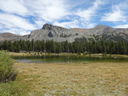 Filename=DSC01346.JPG
Filesize=652KiB
Dimensions=2048x1536
Date added=Feb 08, 2018 DSC01346.JPG