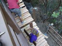 Filename=DSC01355.JPG
Filesize=493KiB
Dimensions=2048x1536
Date added=Feb 08, 2018 DSC01355.JPG