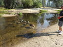 Filename=DSC01360.JPG
Filesize=850KiB
Dimensions=2048x1536
Date added=Feb 08, 2018 DSC01360.JPG