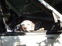 Filename=DSC01362.JPG
Filesize=299KiB
Dimensions=2048x1536
Date added=Feb 08, 2018 DSC01362.JPG