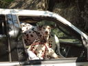 Filename=DSC01365.JPG
Filesize=470KiB
Dimensions=2048x1536
Date added=Feb 08, 2018 DSC01365.JPG