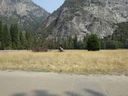 Filename=DSC01369.JPG
Filesize=662KiB
Dimensions=2048x1536
Date added=Feb 08, 2018 DSC01369.JPG