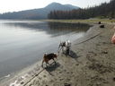 Filename=DSC01380.JPG
Filesize=591KiB
Dimensions=2048x1536
Date added=Feb 08, 2018 DSC01380.JPG