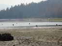 Filename=DSC01381.JPG
Filesize=564KiB
Dimensions=2048x1536
Date added=Feb 08, 2018 DSC01381.JPG