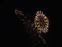 Filename=DSC01424.JPG
Filesize=310KiB
Dimensions=2048x1536
Date added=Feb 08, 2018 DSC01424.JPG
